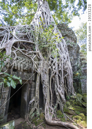 柬埔寨暹粒塔帕拉姆遺址 19333228