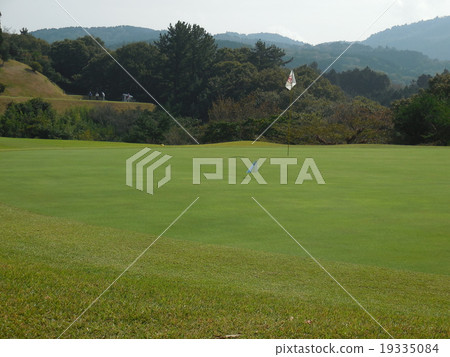 綠 綠 19335084