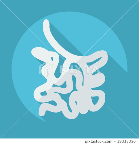 Flat modern design with shadow icons small Flat modern design with shadow icons small 19335356