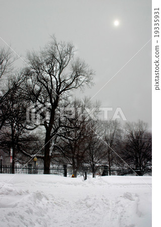 Blizzard.. 19335931