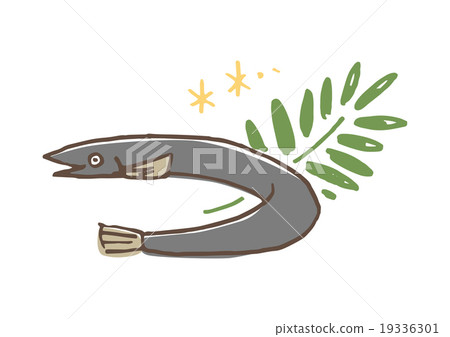 你好，鰻魚 19336301