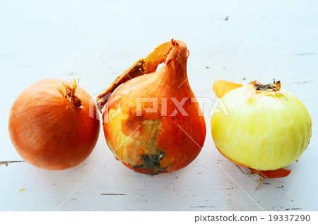 three onions on a white table three onions on a white table 19337290