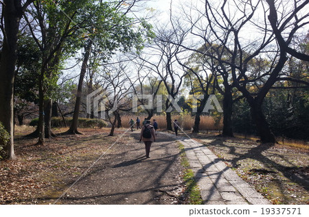 Park road Park road 19337571