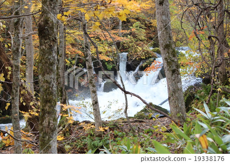 Oirase stream 19338176