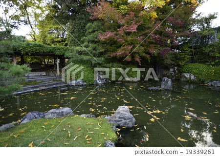 城南區神社 19339261