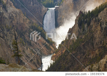 Lower Falls Waterfall Yellowstone National Park 19339374