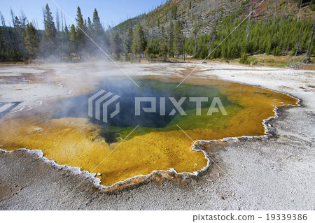 翡翠池黃石國家公園的間歇泉 19339386