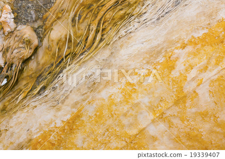 Geysers of Yellowstone National Park 19339407