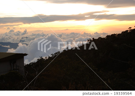 Cloud sea at dusk of Kinabalu / dusk (Sabah / East Malaysia / Borneo Island) 19339564