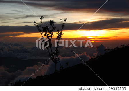 Dusk of Mount Kinabalu (Sabah / East Malaysia / Borneo Island) 19339565