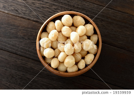 Macadamia nut 19339939