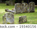 Ancient Graveyard 19340156