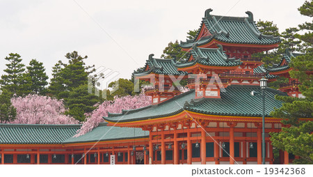 平安平安神社，悲龍和櫻花 19342368