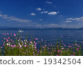 Fresh scenery 19342504