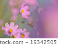 Fantasy world 19342505