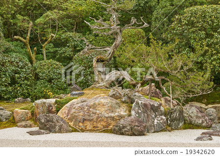 Medium telephotography of Kamejima, Kobori Enshuzaku's "Garden of Turtle Turtle", Kinjoin, Kyoto 19342620