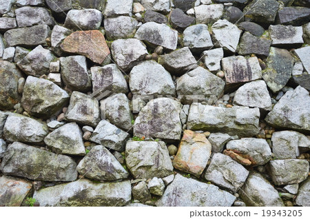 富山城的石垣(富山城遺址公園/富山縣丸之內市) 富山城的石垣(富山城遺址公園/富山縣丸之內市) 19343205
