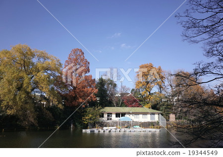 Musashi Kinen Park Musashi Kinen Park 19344549