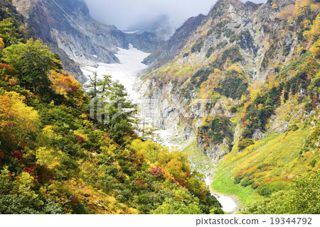 Miyoshi Windsuki of autumn leaves 19344792