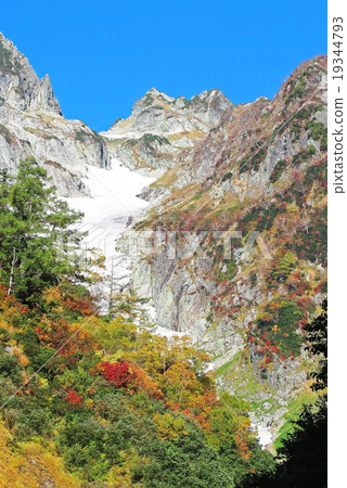 Miyoshi Windsuki of autumn leaves 19344793