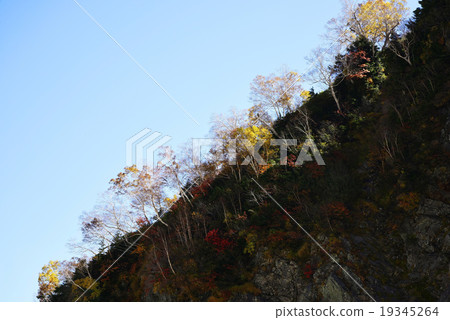 Mt. Tanoyama紅葉 19345264