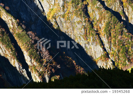 Kenji脊袖秋葉 Kenji脊袖秋葉 19345268