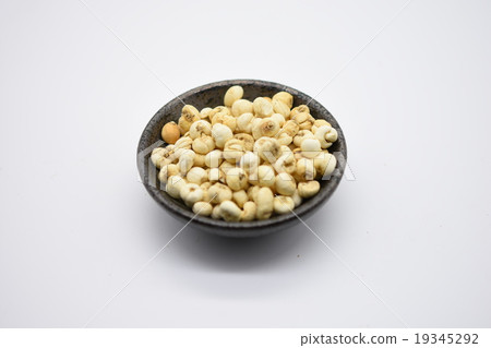 珠貝 珠貝 19345292