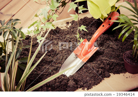 gardening  19346414