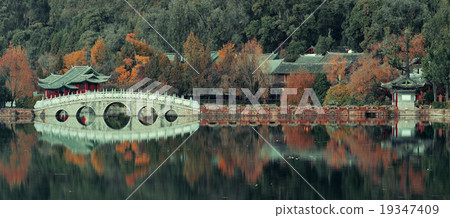 Black Dragon pool 19347409