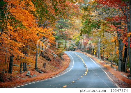 Autumn road - Stock Photo [19347874] - PIXTA