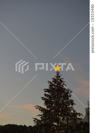 聖誕樹晚上風景 19353490