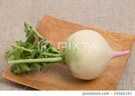 Red Core Daikon Red Core Daikon 19360181