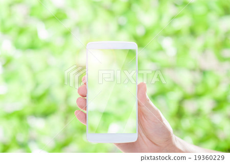 Green Background Smartphone 19360229