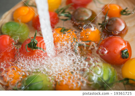 , Mini tomato, tomato, vegetables, fruit, petit tomato , Mini tomato, tomato, vegetables, fruit, petit tomato 19361725