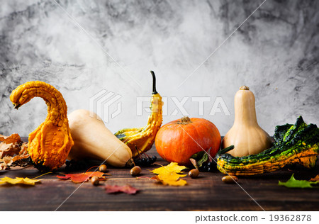 Variety of pumpkins with autumn leaves Copy space Variety of pumpkins with autumn leaves Copy space 19362878