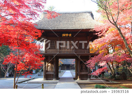 Hirin秋葉 19363516