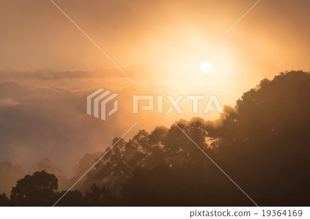 Sunrise with mist 19364169