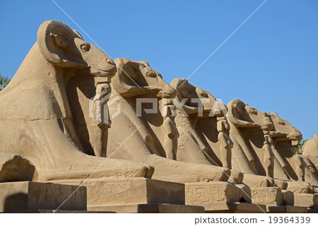 Avenue of sphinxes - Luxor Avenue of sphinxes - Luxor 19364339