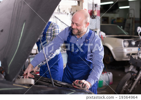 Professional mechanics repairing car 19364964