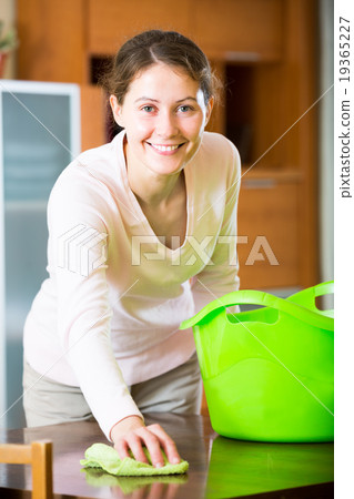 woman cleaning at home 19365227