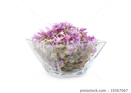 Immortelle Immortelle 19367067
