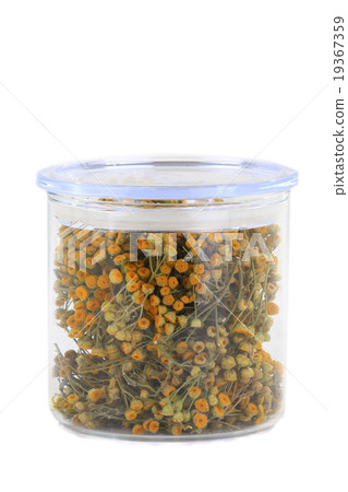 tansy 19367359