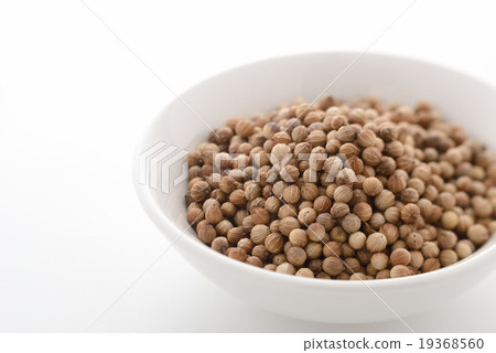 Coriander seed Coriander seed 19368560