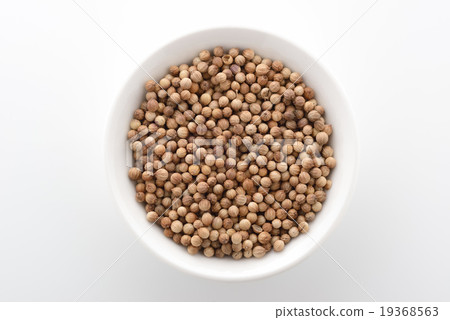 Coriander seed 19368563