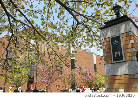 穿過大阪造幣局，在中間大門附近擠滿了櫻花盛開的觀眾 19368820