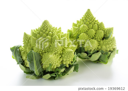 Romanesco 19369612