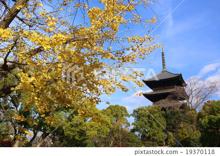 京都秋天Toji寺和五層寶塔 19370118