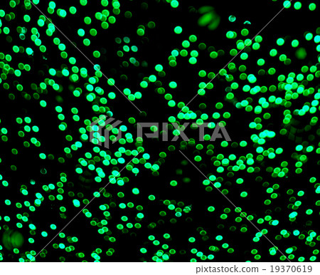 Green, Emeral lights, background,wallpaper Green, Emeral lights, background,wallpaper 19370619