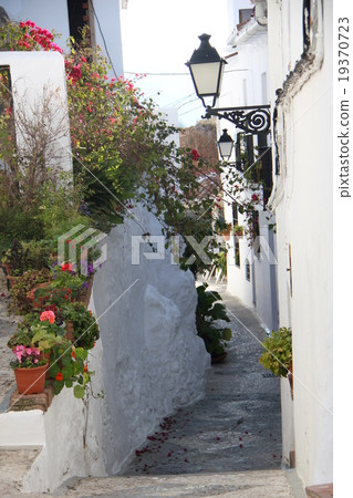 鮮花和白牆 鮮花和白牆 19370723