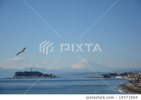 從Inamurakazaki和江之島看到的富士山 19371604